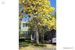 Male tenant wanted, 2 bedrooms 1 bathroom, Aaa air conditioning, electricity. 319-4441