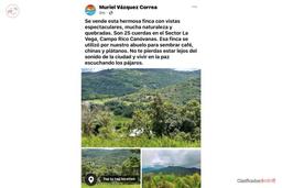 La Vega Campo Rico Sector - Canóvanas