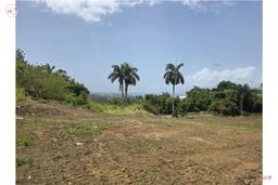 Lot - Good Location
