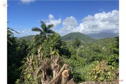 Land in Daguao with mountain views