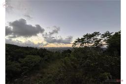 Price Reduced in Cayey, 29 Cuerdas, 2 Minutes from PR-52