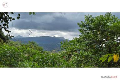 Cedros District - Farmhouse with a view of the Yunque