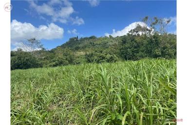 11-Acre Farm - $312,000 Reduced Price