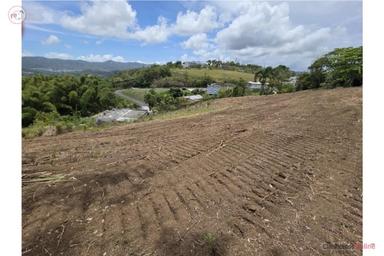 Beautiful land in Cidra