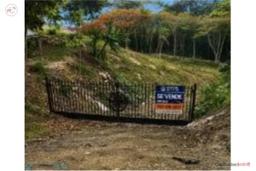 2.71 Cords - Steps from Road #2