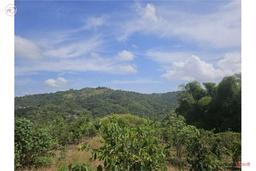 20.52-Acre Farm in Bo. Pozas - Ciales