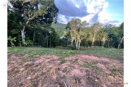 Nice lots 5 minutes from the downtown area