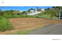 Land - Colinas de Palmarito Residential Area - Arecibo