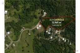 Land for Sale, 3.3 Cuerdas in Carruzo - Carolina