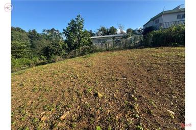 600 sq. ft. in a quiet area, 4 min from the expressway