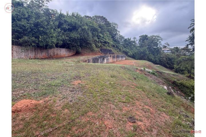 Hermoso solar en Barrio Cedro Arriba – Naranjito