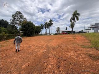 Adjuntas. Oportunidad de negocio